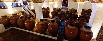 A room in the José de Sousa Winery, inside of which one can see a small ladder on the side and several large wine amphorae arranged in a line.