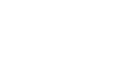 Logo Air India