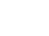 Logo Ethiopian