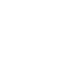 Logo SAS Scandinavian Airlines