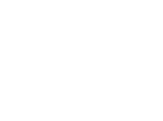 Logo Skybags