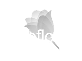 Logo Webflor